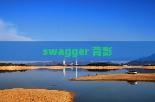 swagger 背影